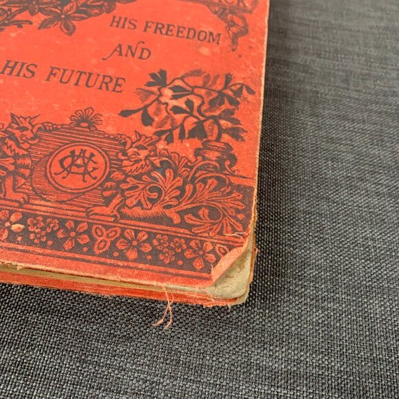 Our Brother in Black: His Freedom and His Future 1887 HAYGOOD, Atticus G. - Picture 2 of 16